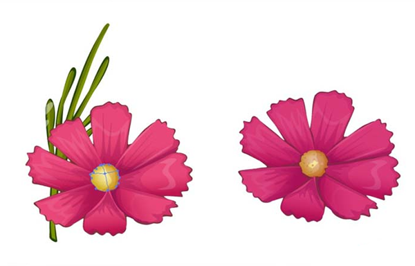 用AI设计波斯菊画法