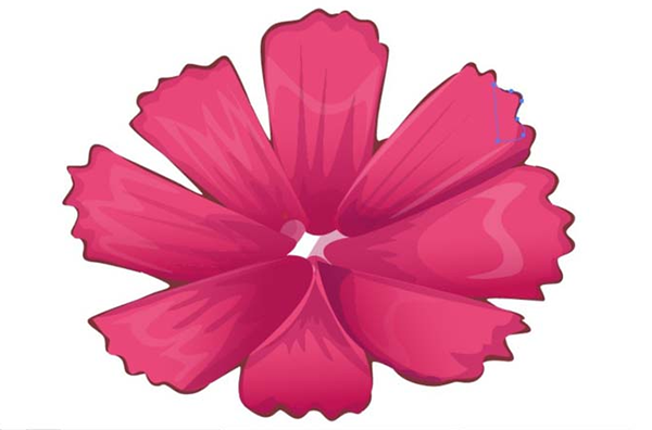 用AI设计波斯菊画法