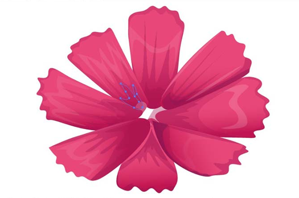 用AI设计波斯菊画法