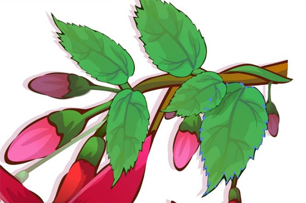 AI怎么画海棠花