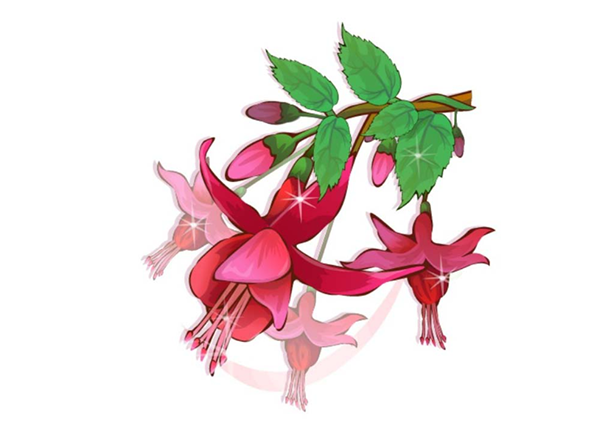 AI怎么画海棠花