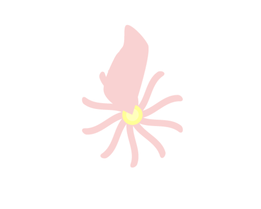 AI怎么画夹竹桃花