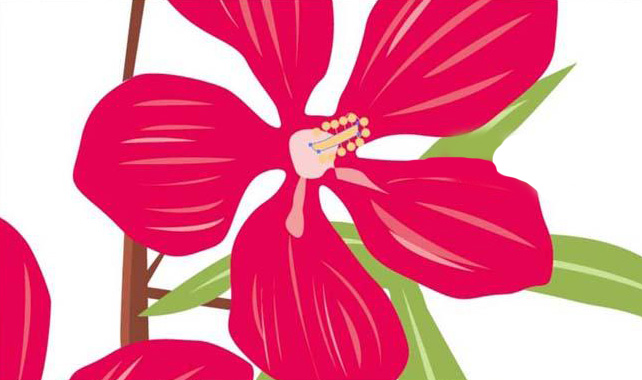 ai怎么绘制鲜花盆栽