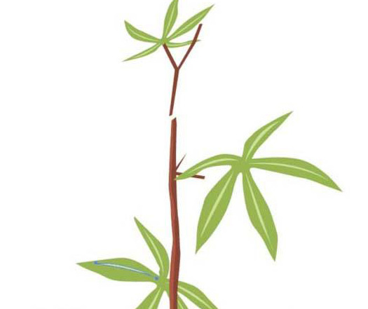 ai怎么绘制鲜花盆栽