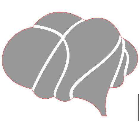 怎么用AI绘制大脑图案