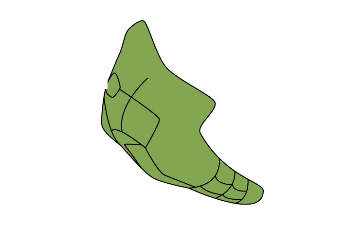 怎么用AI画精灵宝可梦中铁甲蛹？