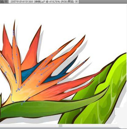 ai怎么绘制天堂鸟花