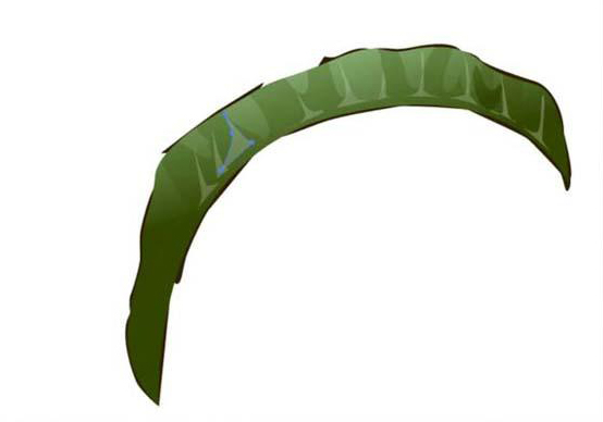 ai怎么绘制天堂鸟花