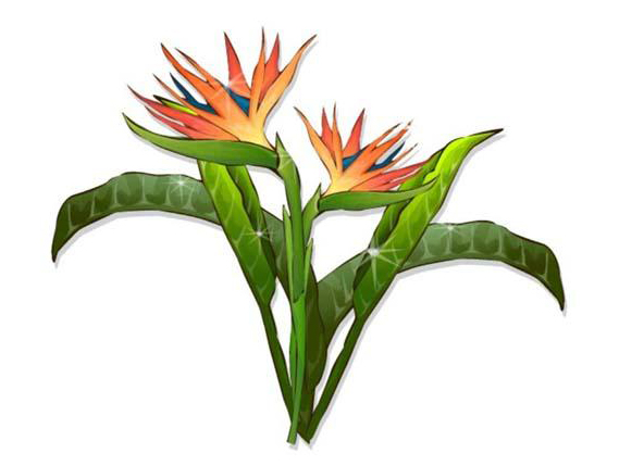 ai怎么绘制天堂鸟花