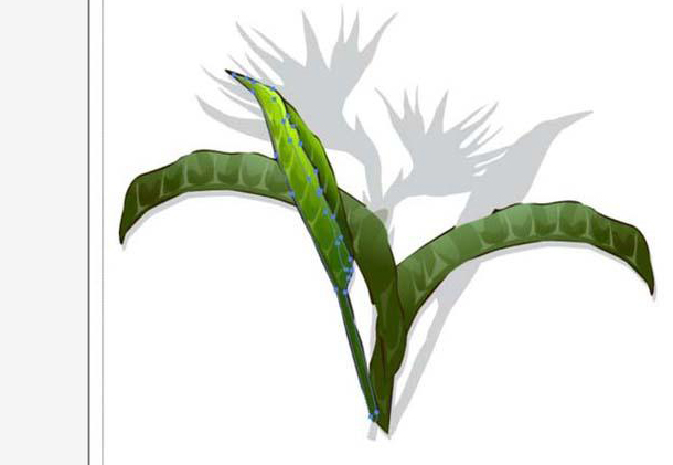 ai怎么绘制天堂鸟花