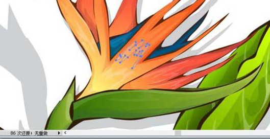 ai怎么绘制天堂鸟花