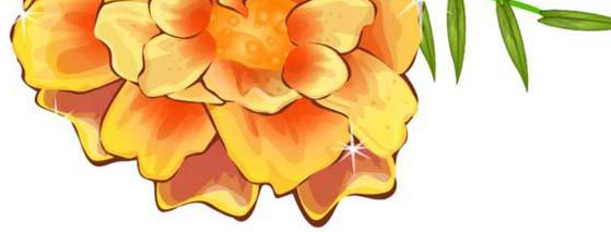 用ai画金盏花的彩铅效果