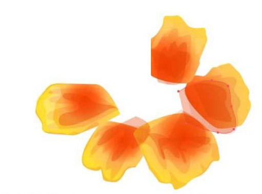 用ai画金盏花的彩铅效果