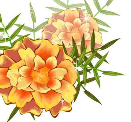 用ai画金盏花的彩铅效果