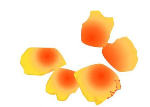 用ai画金盏花的彩铅效果