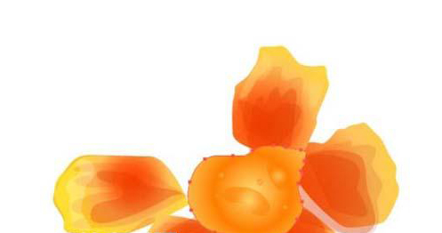 用ai画金盏花的彩铅效果