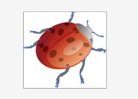 AI怎么绘制甲壳虫？