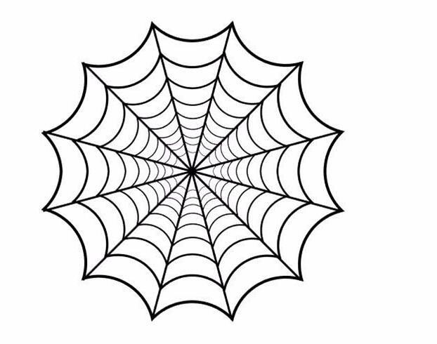 AI怎么绘制蜘蛛网?
