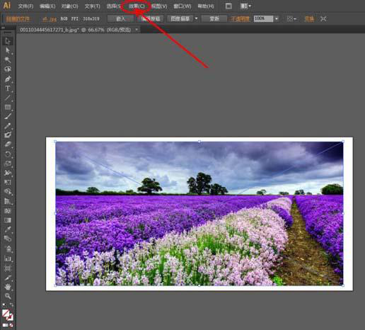 ai怎么扭曲图片