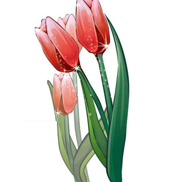 郁金香图案怎么用AI软件绘出来