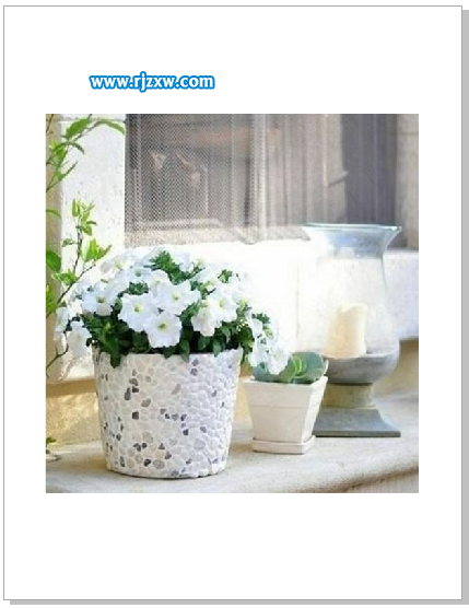 CDRX7怎么导入图片或是插入图片