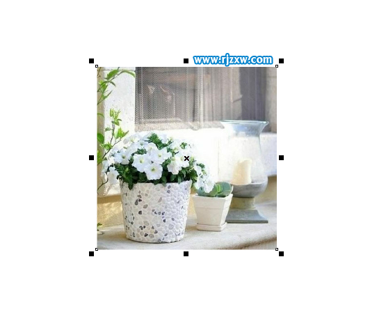 CDRX7怎么导入图片或是插入图片