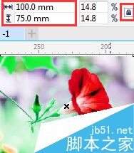 CorelDRAW中如何更改位图尺寸和分辨率