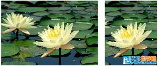 CorelDRAW中如何裁剪导入的位图