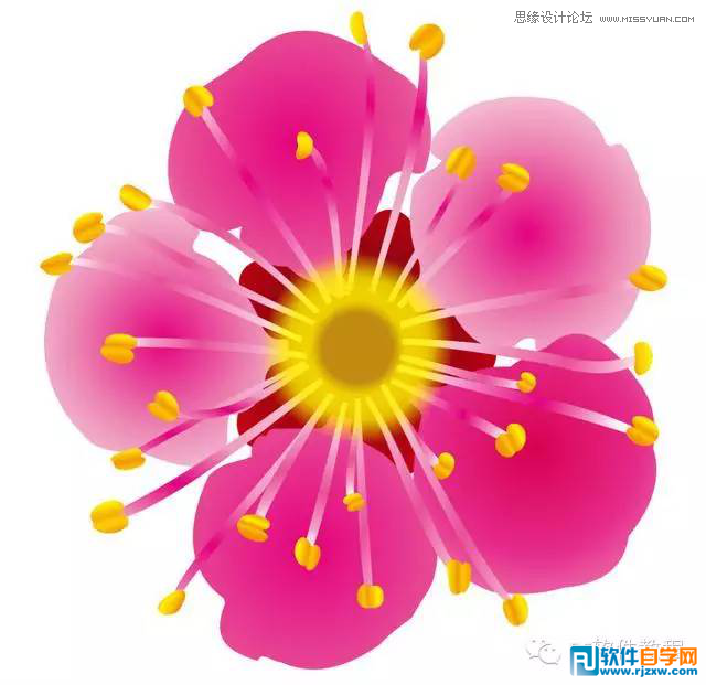 012.CorelDraw绘制梅花图讲解