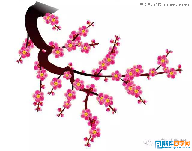 012.CorelDraw绘制梅花图讲解