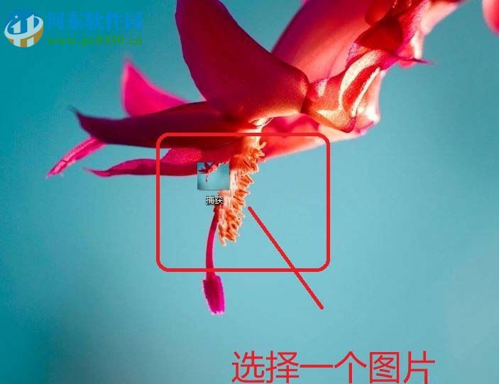 paint 3D的使用方法