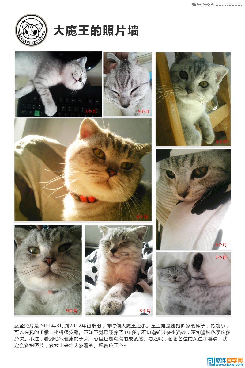 01.怎么绘制鹰的标志讲解