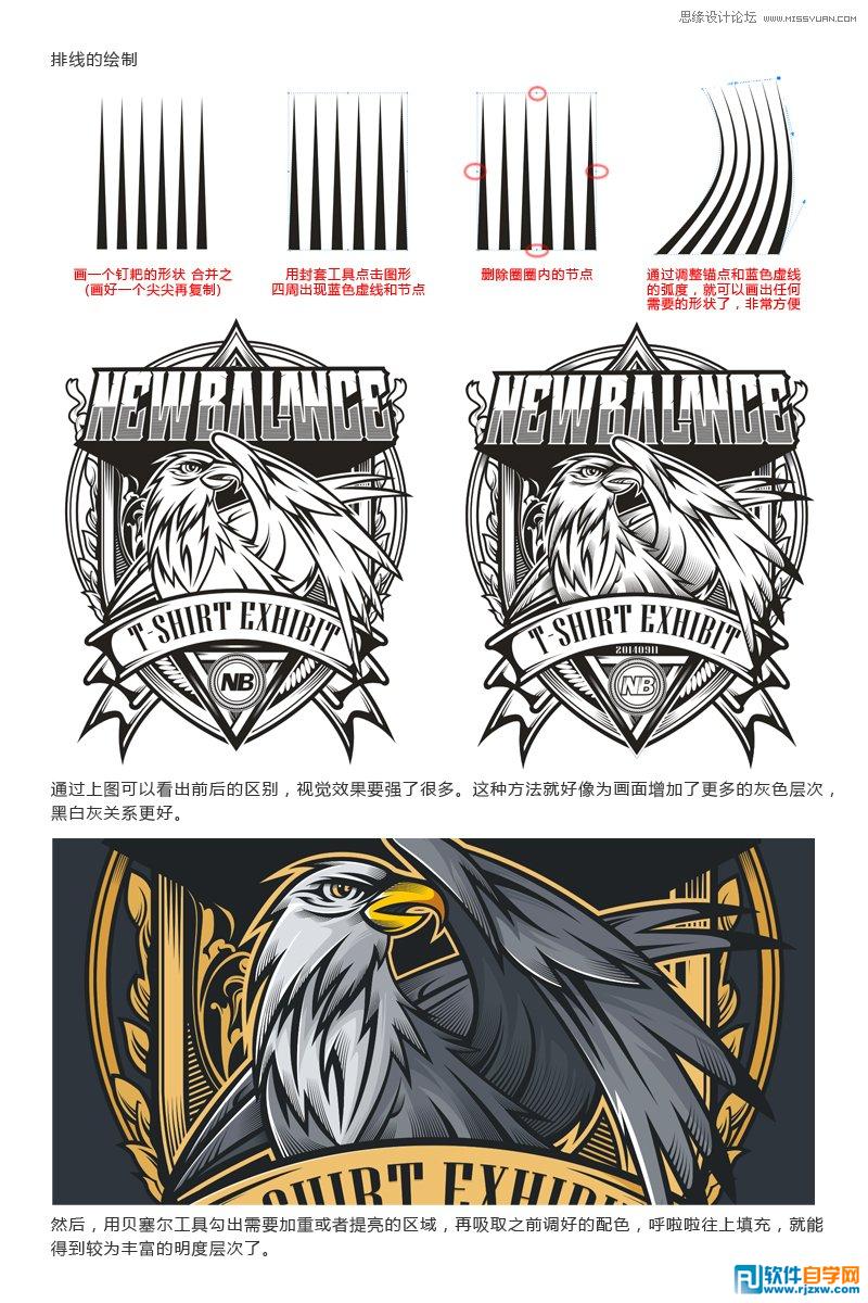 01.怎么绘制鹰的标志讲解