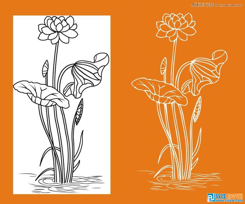 勾出荷花图片的线条效果