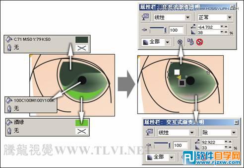 CorelDRAWX7设计卡通插画美女教程