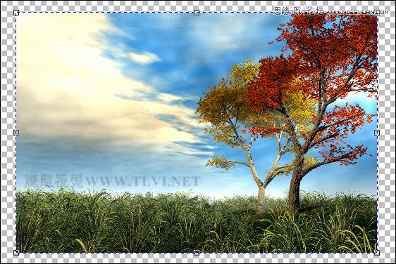 用CorelDRAWX7绘制现代装饰油画效果