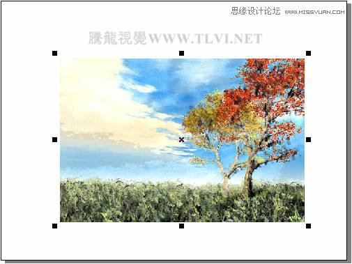 用CorelDRAWX7绘制现代装饰油画效果