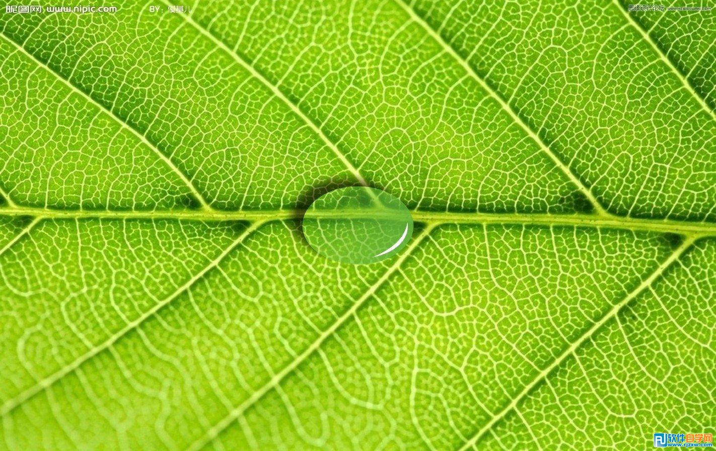 用Coreldraw设计水滴透明立体效果