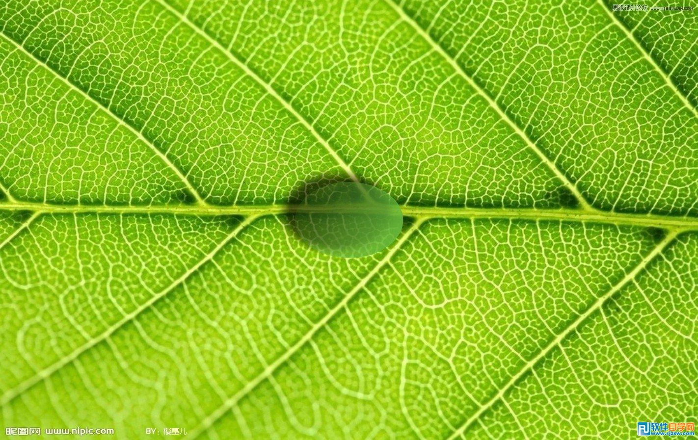 用Coreldraw设计水滴透明立体效果