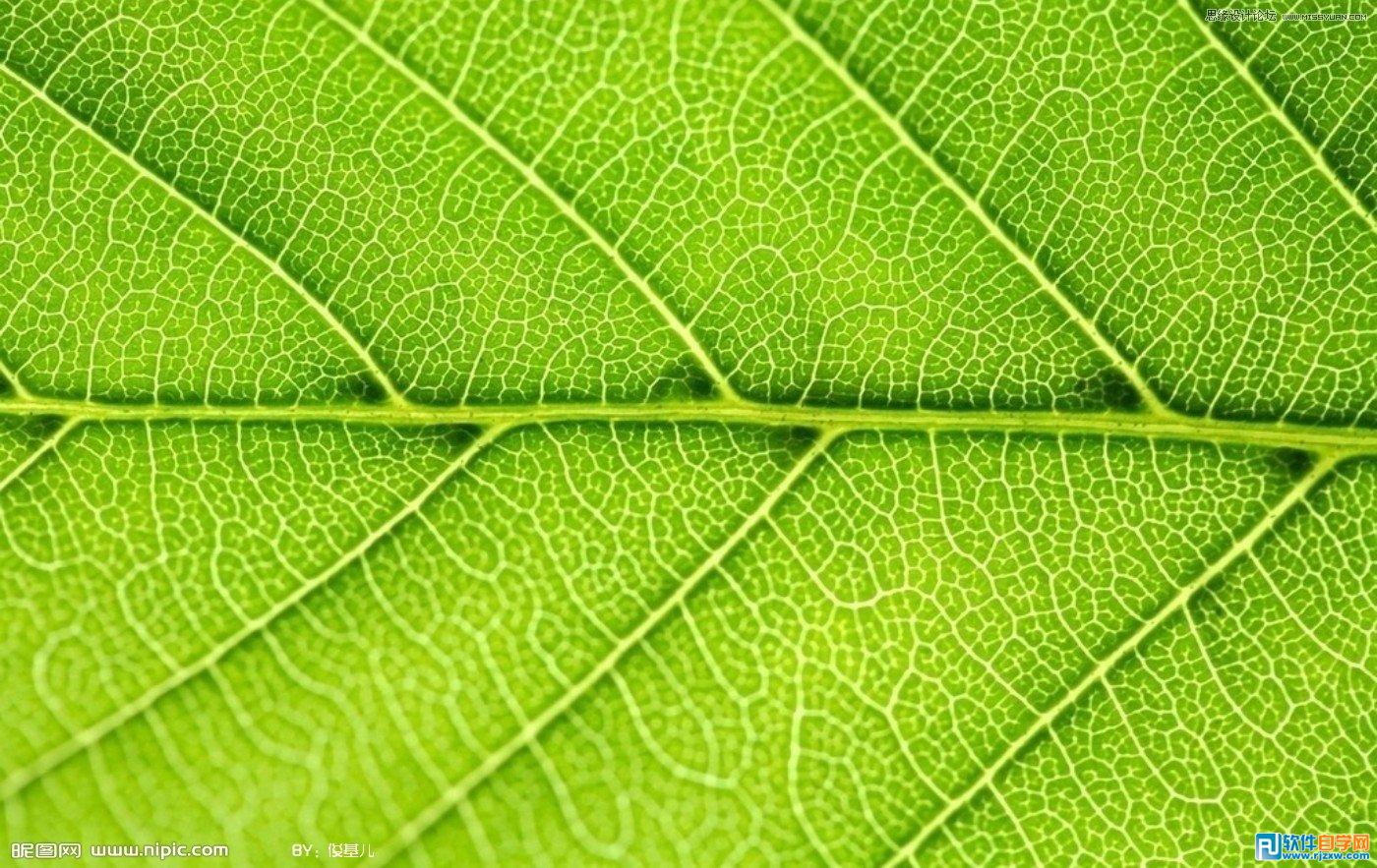 用Coreldraw设计水滴透明立体效果