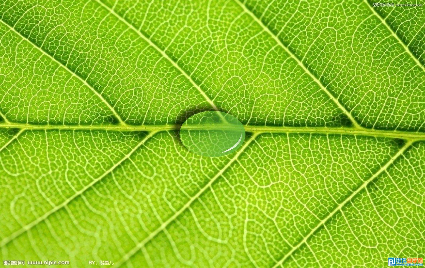 用Coreldraw设计水滴透明立体效果