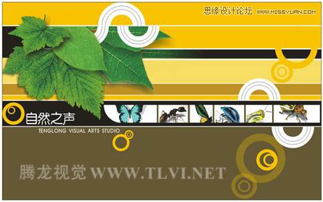 用CorelDRAW设计环保宣传海报教程