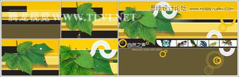 用CorelDRAW设计环保宣传海报教程