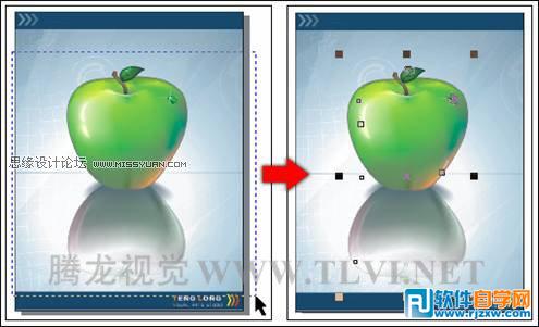教你怎么在CorelDRAW中选择对象使用技巧
