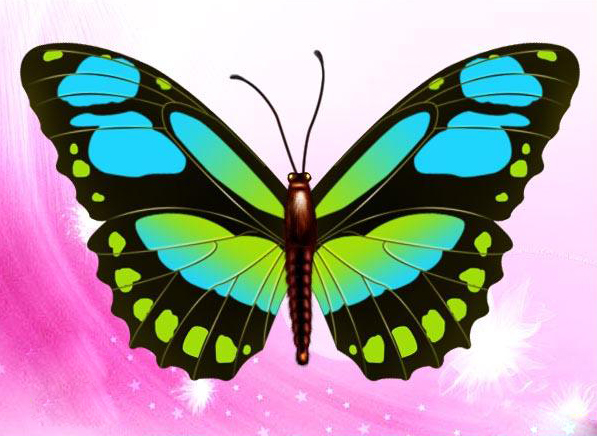 PS教你绘制美丽的蝴蝶