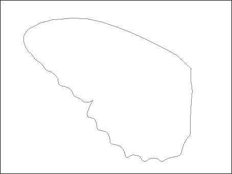 PS教你绘制美丽的蝴蝶