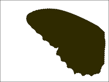 PS教你绘制美丽的蝴蝶