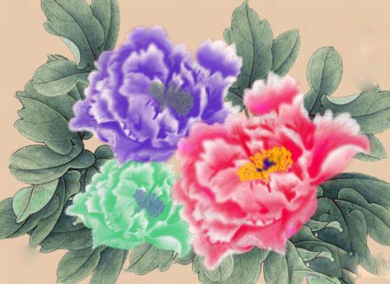 PS绘制美丽的牡丹花