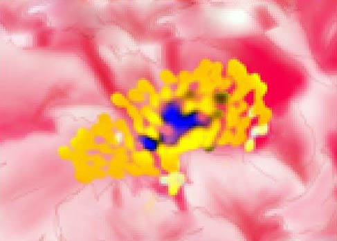 PS绘制美丽的牡丹花