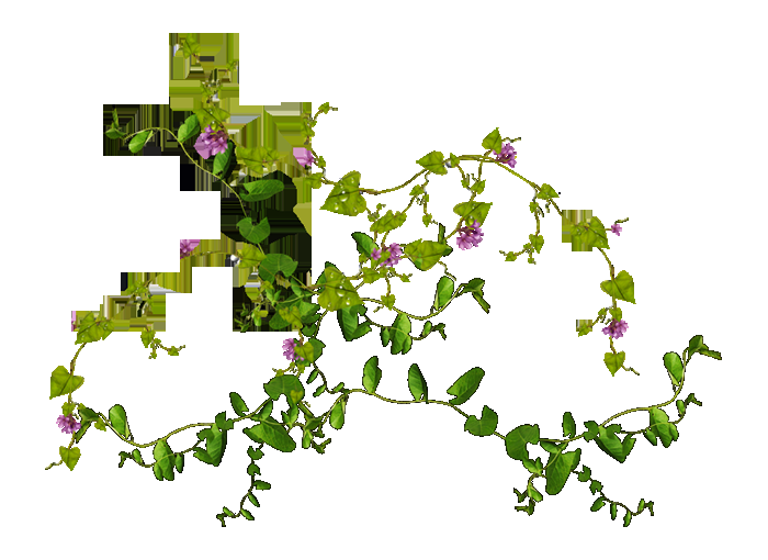 PSCS6打造绚丽春季人像海报